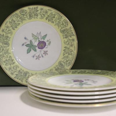 Set of 6 Wedgwood Wildflower Yellow Bone China Dinner Plates,