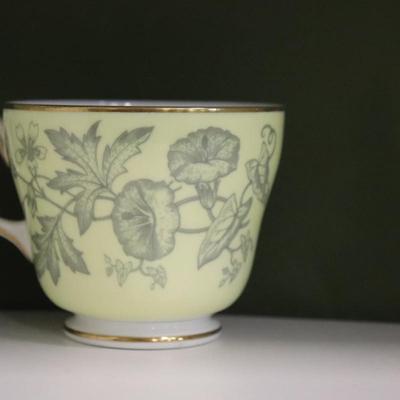 Set of 6 Wedgwood Wildflower Yellow Bone China Dinner Plates,