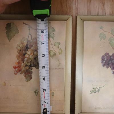 Art Print: Sauvignon Blanc Pair