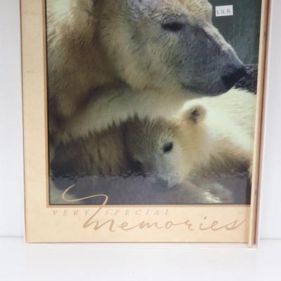 Polar Bear "Very Special Memories: album