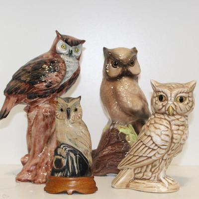 Lot of Owls