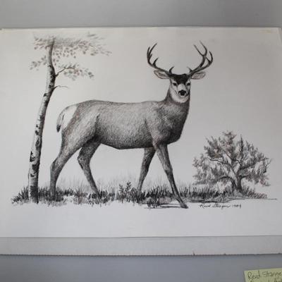Deer Drawing