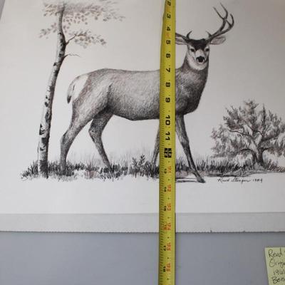 Deer Drawing