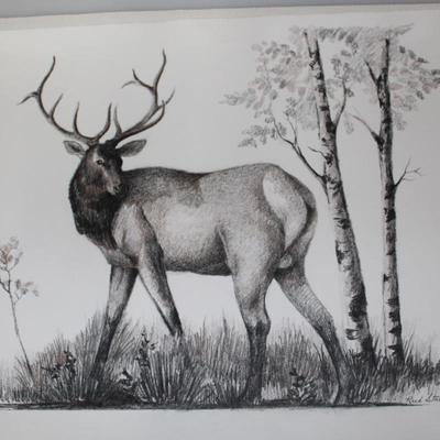 Elk Drawing