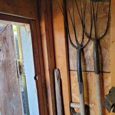 3 pitchforks, 1 pitchfork handle off, walking stick and icescraper