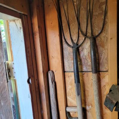 3 pitchforks, 1 pitchfork handle off, walking stick and icescraper