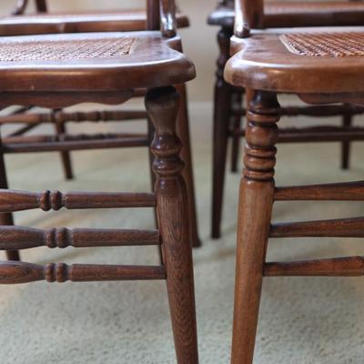Eight Cane Chairs H. Zambelli Furniture (8)