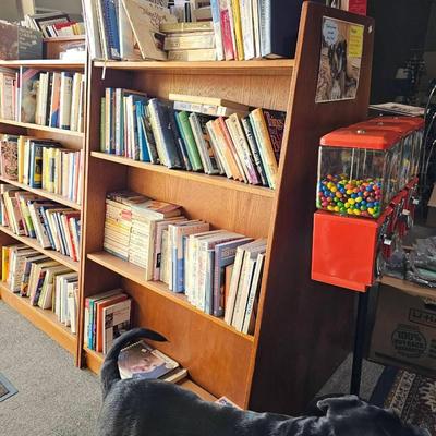 Library Book Shelf (1 Set) NOT A Duplicate