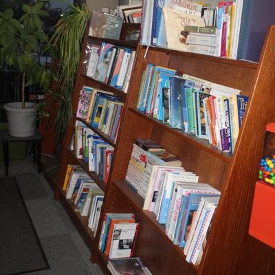 Library Book Shelf (1 Set) NOT A Duplicate
