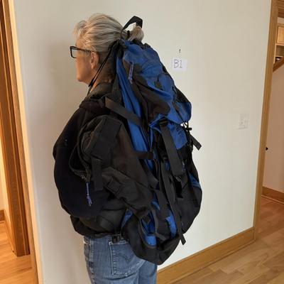 Lowe Alpine Day and Overnight Backpacks (C-TF)