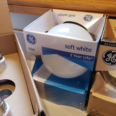 Variety of New Light Bulbs (L-KD)