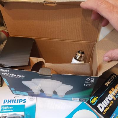 Variety of New Light Bulbs (L-KD)