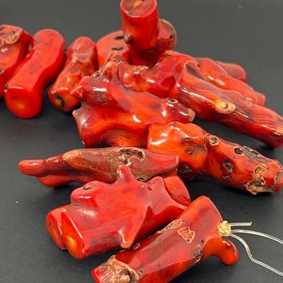 31 Pieces of Coral Strung on Line