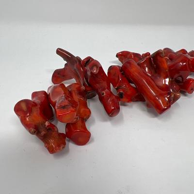 31 Pieces of Coral Strung on Line