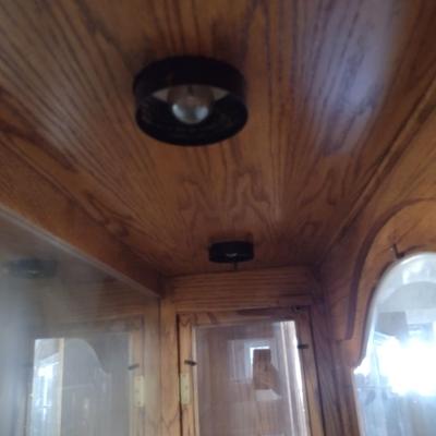 Lighted Wood and Glass Display Cabinet
