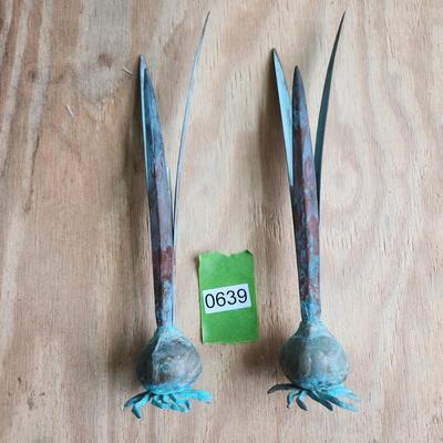 Pair Carnevale Copper Metal Onion Bulbs Bud Case