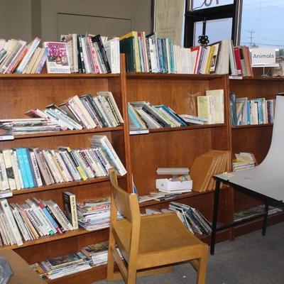 Library Book Shelf (1 singular) NOT A DUPLICATE