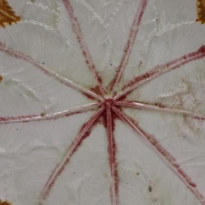 Antique MAJOLICA Begonia Leaf Oval Platter