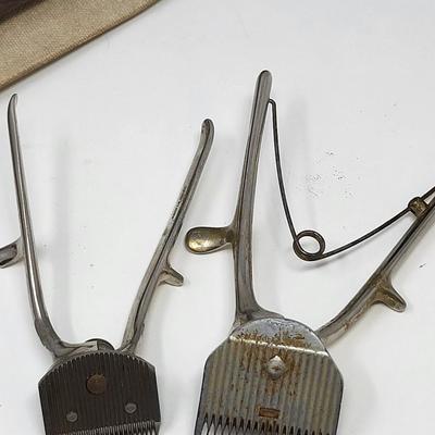 Antique Shaving Accessories & Medicine Bottles
