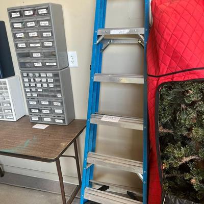 6 Ft Werner Ladder