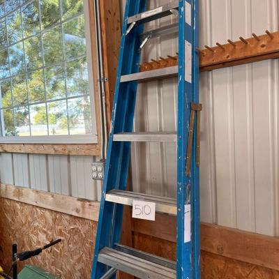 Werner 6 Ft Ladder
