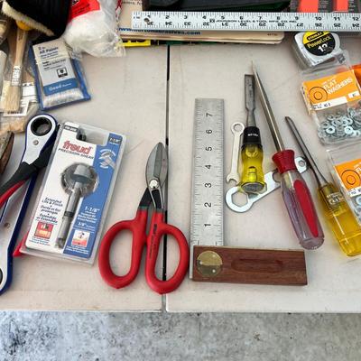 Large Assortment of Hardware, Paint Supplies & More (G-MK)