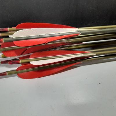 Arrows and wrist guards for a bow - At least a dozen arrows
