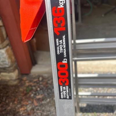 Little Giant Velocity Ladder (G-MG)