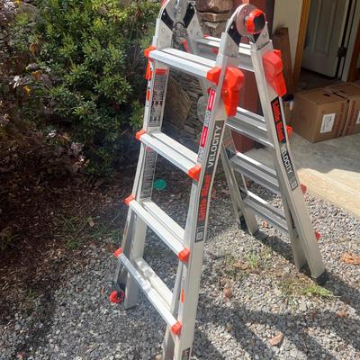 Little Giant Velocity Ladder (G-MG)