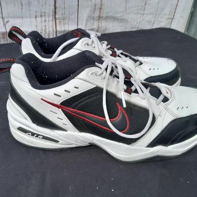 Men's size Nike Tennis shoes - lightly used with shoe organizer