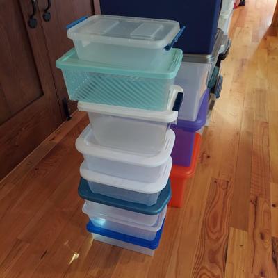Small and Medium Storage Bins (LR-BBL)