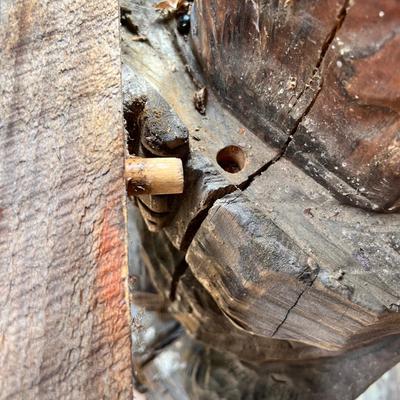 "Welcome" Bear, Locally Made (FY-MK)