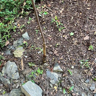 Metal Yard Flowers (FY-MK)