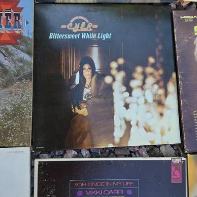 Large Lot of Vinrage Record Albums