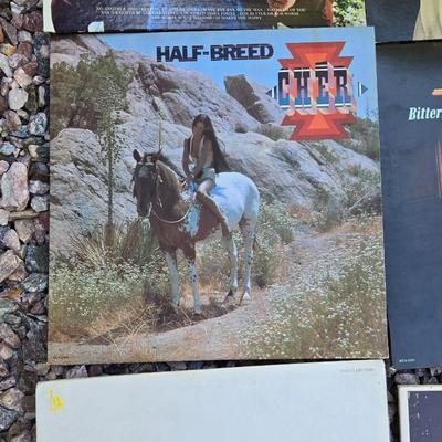 Large Lot of Vinrage Record Albums