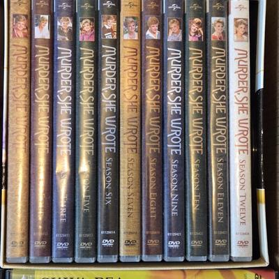 Large DVD Lot including on Portable DVD Holder with DVDs inside