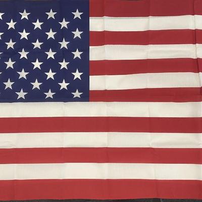 Vintage Sentinel U.S Flag