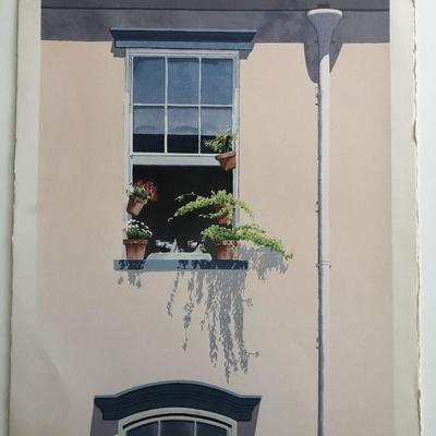 Window Plants Art Print