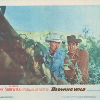 Blowing Wild  1953 original vintage lobby card