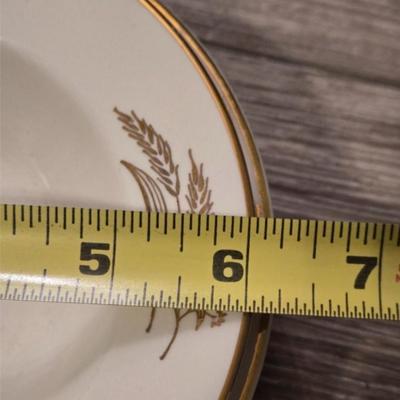 Prairie Gold Ohio China Set