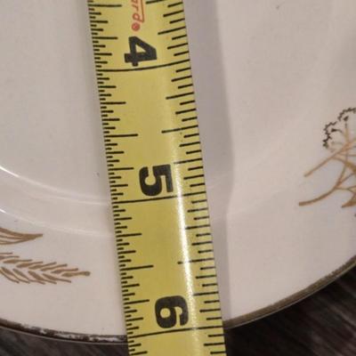 Prairie Gold Ohio China Set