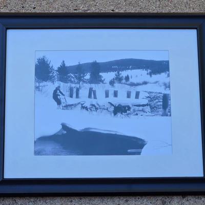 Alaska Sledding Photograph