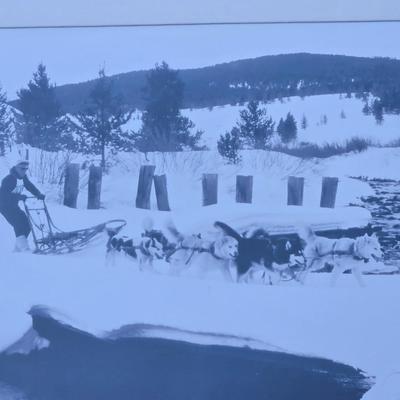 Alaska Sledding Photograph