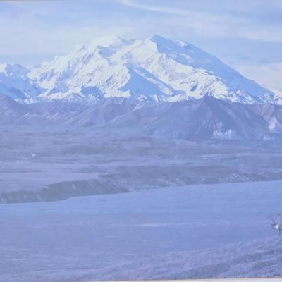 Original Mountain and Elk Photograph