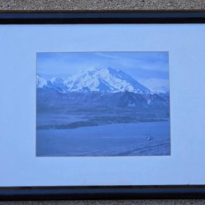 Original Mountain and Elk Photograph