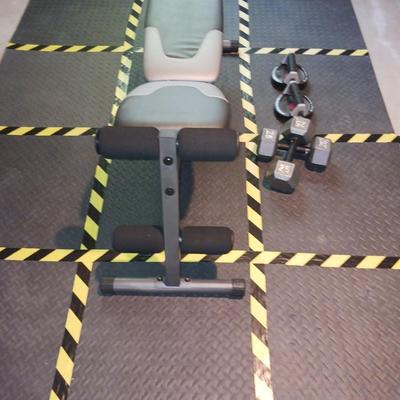 GOLD'S GYM XR 5.9 WEIGHT BENCH, 2 - 25 LB WEIGHTS AND PUSH UP GEAR PLUS FOAM MATS