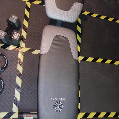 GOLD'S GYM XR 5.9 WEIGHT BENCH, 2 - 25 LB WEIGHTS AND PUSH UP GEAR PLUS FOAM MATS