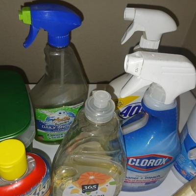 HOUSEHOLD CLEANERS