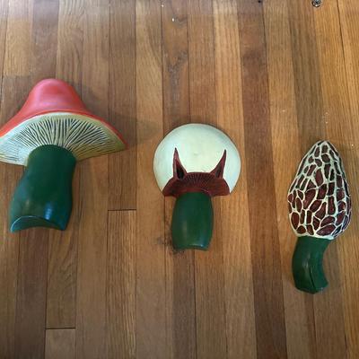 Mushroom wall hangers