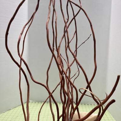 Curly Willow Branches With Large Plastic Bottle for decoration